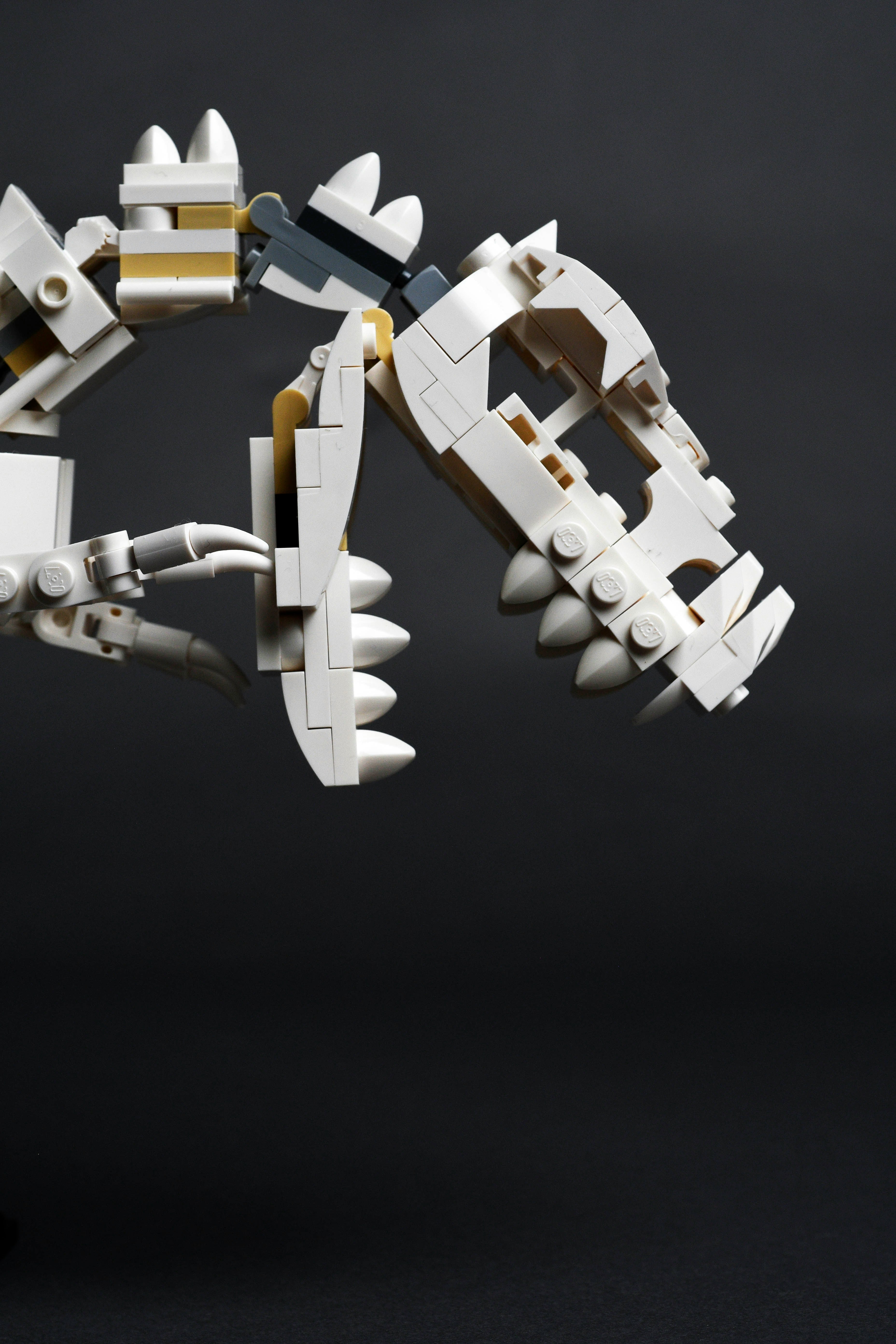 LEGO Jurassic World Dinosaur Fossils